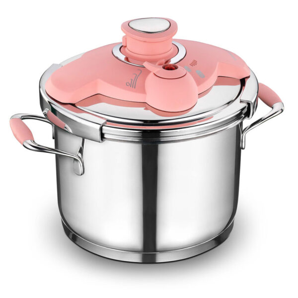 زودپز 6.0 لیتر استیل فلورا کرکماز 159-01 - تصویر 1