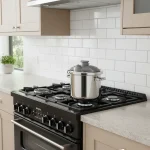 زودپز 6.0 لیتر استیل براق آکوا کرکماز 176 | لوازم خانگی ایران