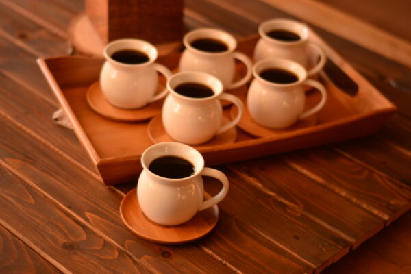 سرویس فنجان نعلبکی 6 نفره توربی بامبوم B0911 Iran Home Appliances لوازم خانگی ایران