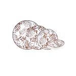 سرویس غذاخوری چینی 24 پارچه قهوه ای فوندو بامبوم B1730 Iran Home Appliances لوازم خانگی ایران